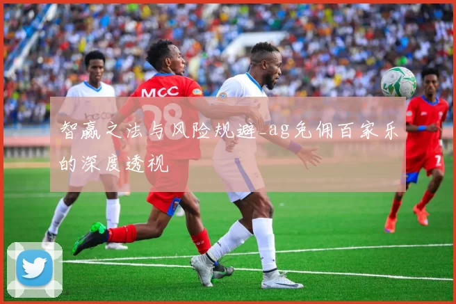 智赢之法与风险规避_ag免佣百家乐的深度透视
