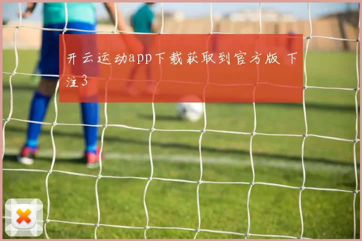 开云运动app下载获取到官方版 下注3
