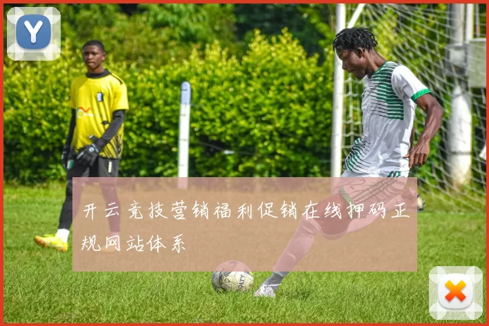 开云竞技营销福利促销在线押码正规网站体系